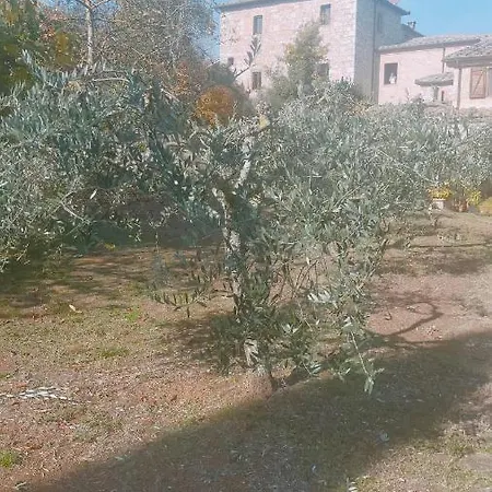 Cosy Country Garden Penzion Sovicille